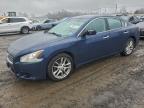 Lot #3297923796 2010 NISSAN MAXIMA S