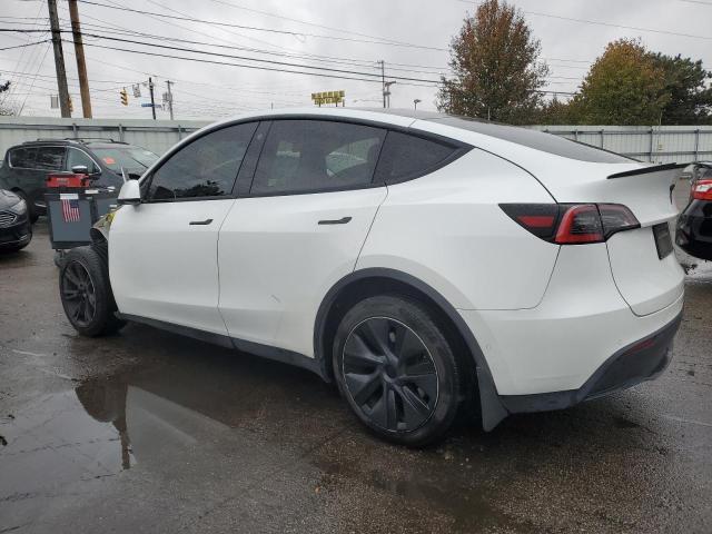 2021 TESLA MODEL Y #3301689654