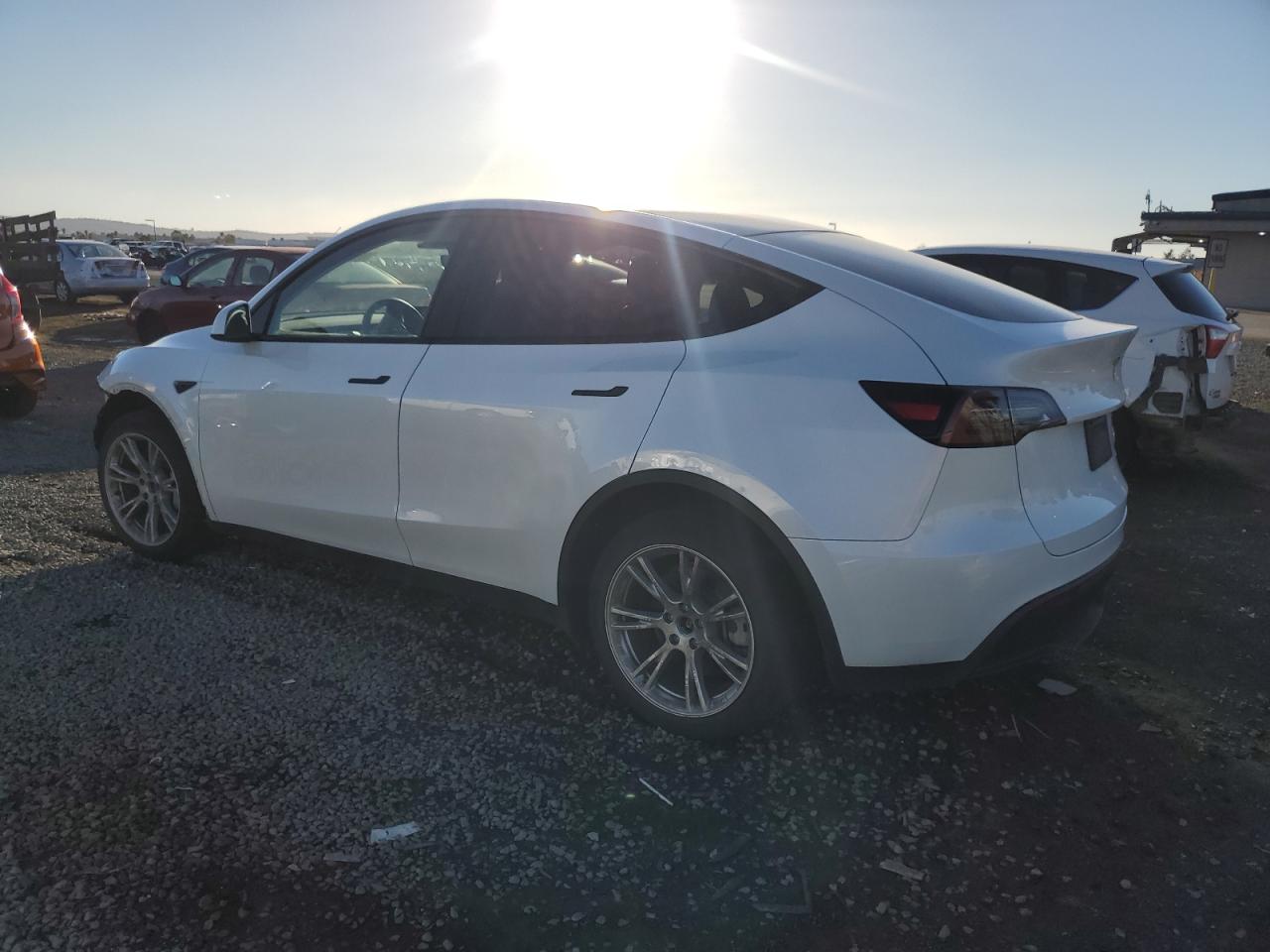 Lot #3318065388 2023 TESLA MODEL Y