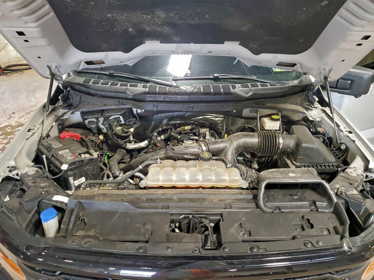 Lot #3315985095 2024 FORD F150 XLT