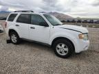 Lot #3302003104 2010 FORD ESCAPE XLS