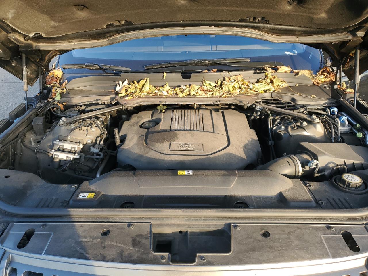 LAND ROVER RANGE ROVER RANGE ROVE