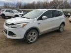 Lot #3297961780 2016 FORD ESCAPE SE