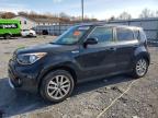 Lot #3304744923 2017 KIA SOUL +