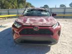 Lot #3309555575 2025 TOYOTA RAV4 XLE