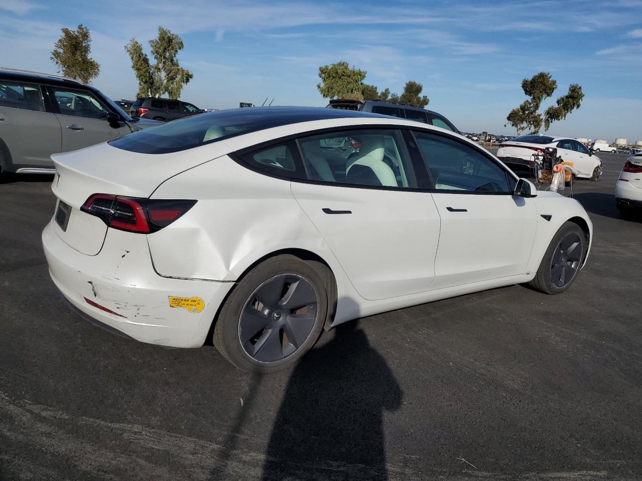 TESLA MODEL 3