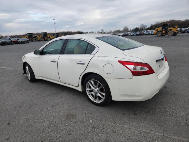 2009 NISSAN MAXIMA S #3291333139