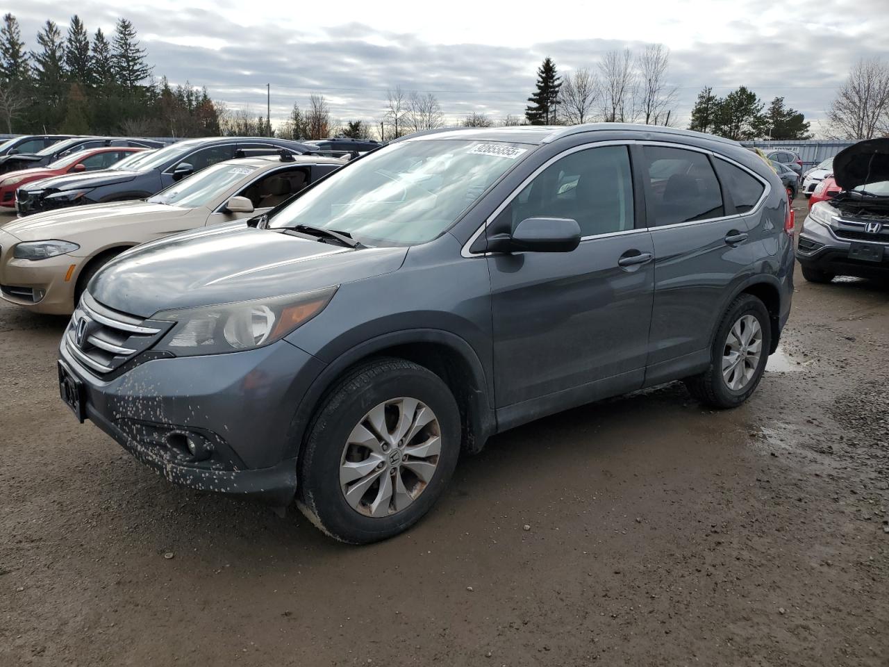 HONDA CR-V EXL
