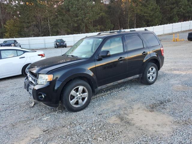 Global Auto Auctions: 2010 FORD ESCAPE LIM