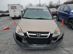 Lot #3303796438 2004 HONDA CR-V EX