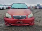 Lot #3294562054 2005 TOYOTA COROLLA CE