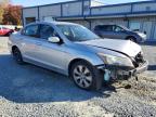 Lot #3296028356 2010 HONDA ACCORD EX