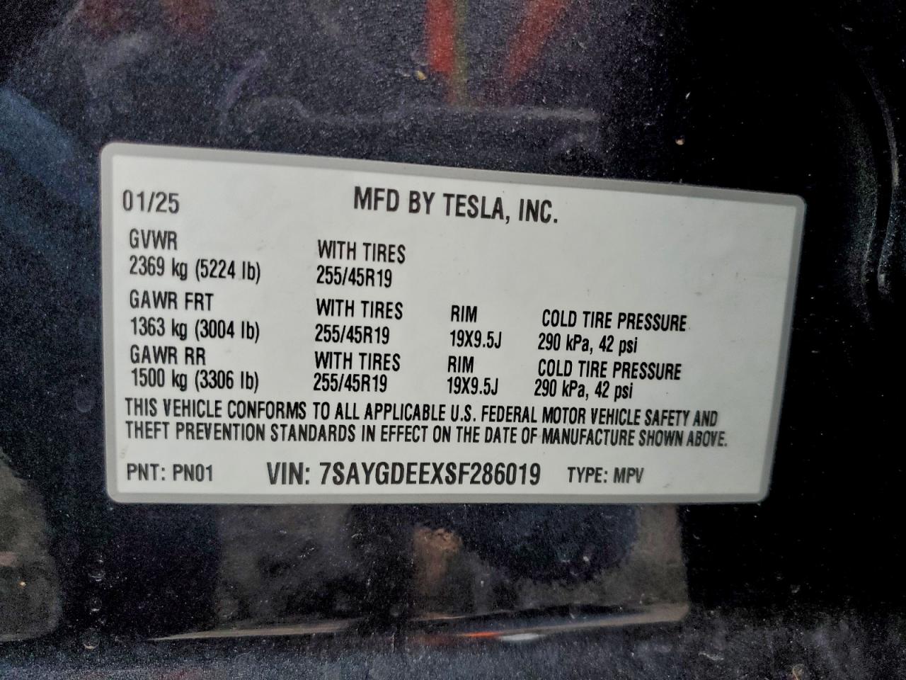TESLA MODEL Y