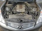 Lot #3304544464 2015 INFINITI QX50