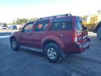 Lot #3312675174 2005 NISSAN PATHFINDER