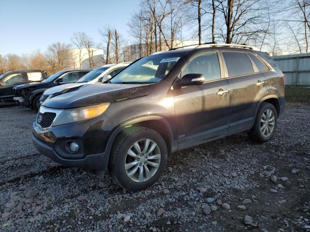 Global Auto Auctions: 2011 KIA SORENTO EX