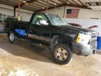 Lot #3302793938 2008 CHEVROLET SILVERADO