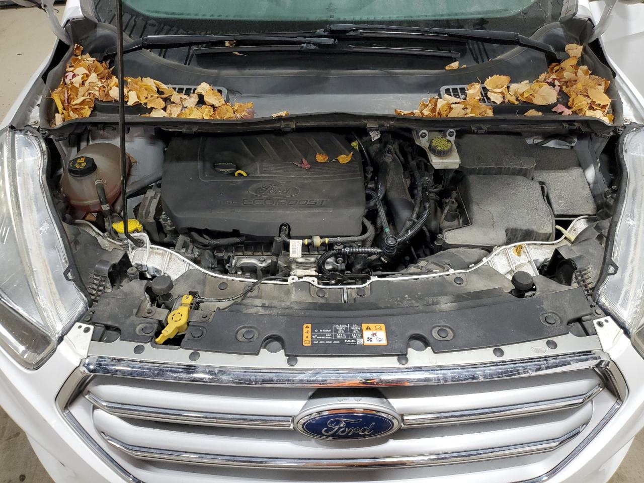 Lot #3302509760 2017 FORD ESCAPE SE