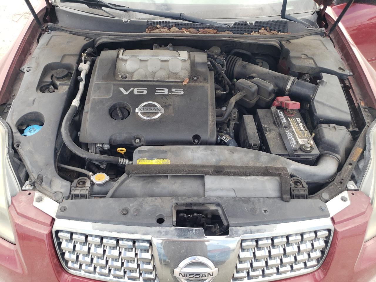 Lot #3291426166 2005 NISSAN MAXIMA SE