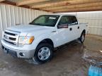 Lot #3303824418 2014 FORD F150 SUPER
