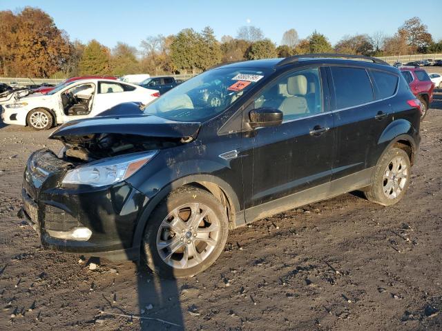 Global Auto Auctions: 2014 FORD ESCAPE SE
