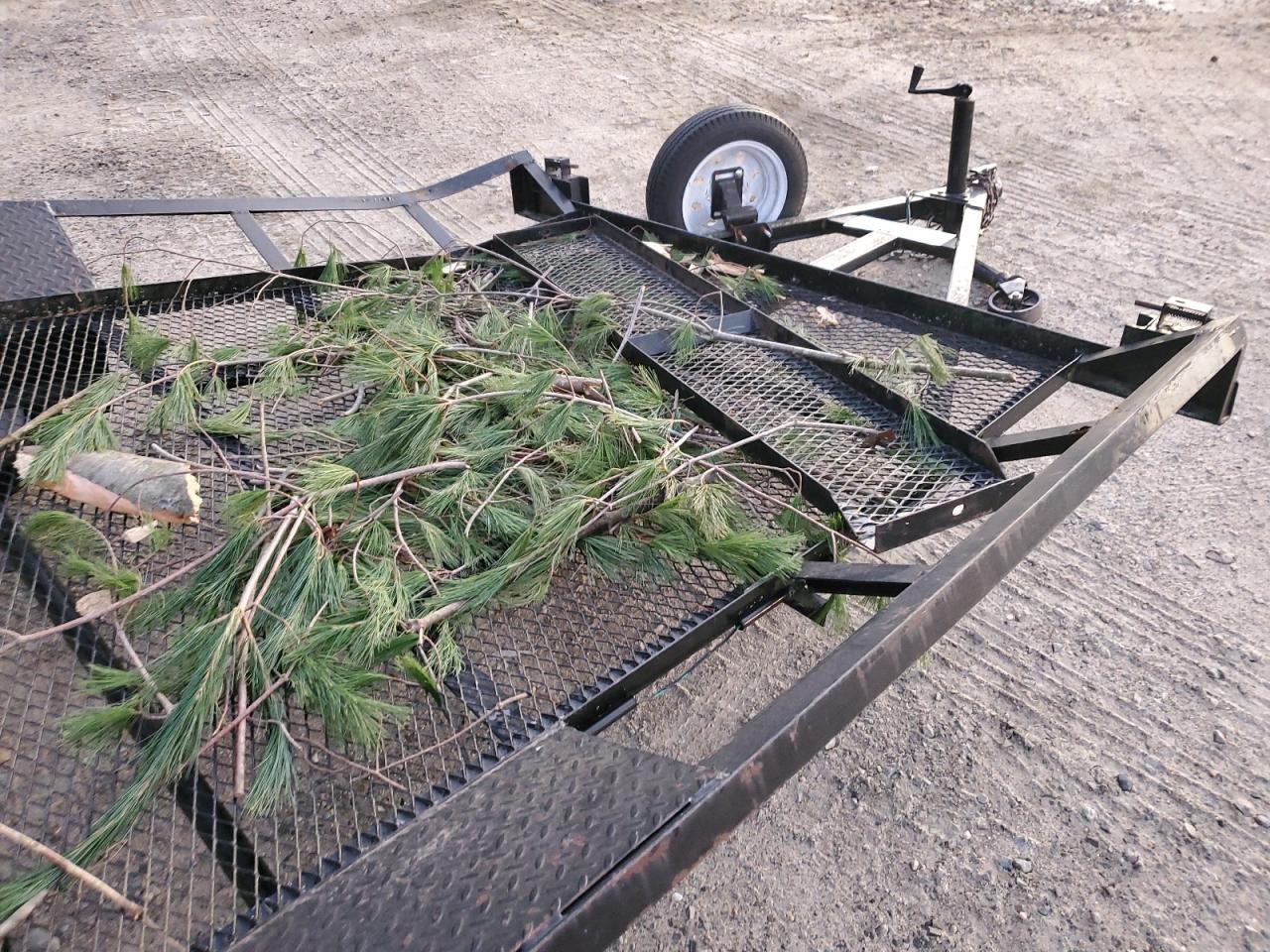 Lot #3311574238 2010 CARRY ON UNKNOWN