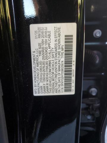 2025 HONDA PILOT TOUR #3302729079