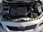 Lot #3315592784 2010 TOYOTA COROLLA BA