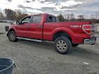 Lot #3294499527 2013 FORD F150 SUPER