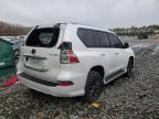 Lot #3303958690 2023 LEXUS GX 460
