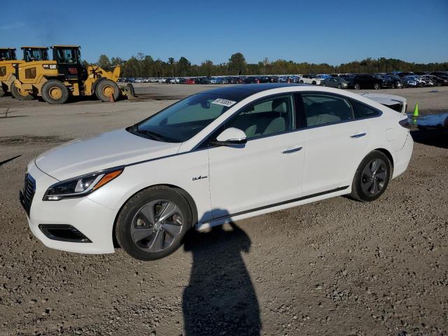 Global Auto Auctions: 2017 HYUNDAI SONATA HYB