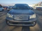 Lot #3317055989 2010 LEXUS GX 460