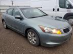 Lot #3294260878 2008 HONDA ACCORD EXL
