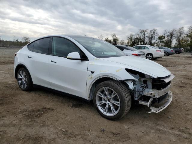 2021 TESLA MODEL Y - 5YJYGDEEXMF100785