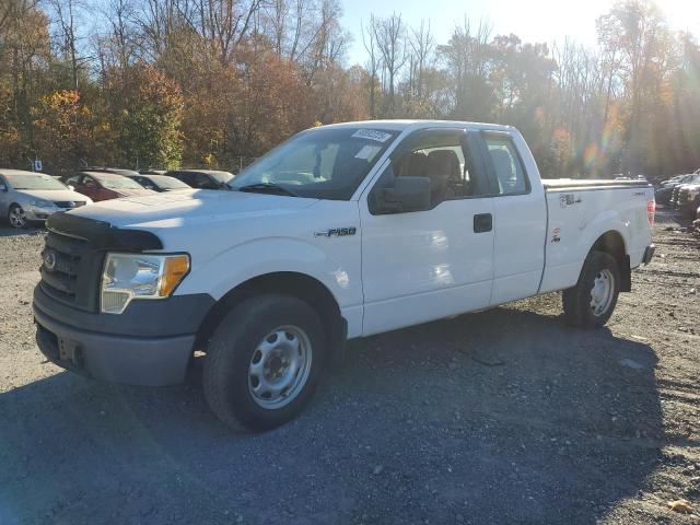 2010 FORD F150 SUPER - 1FTEX1CW5AFD23434