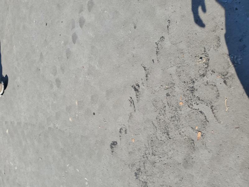 2010 HYUNDAI SONATA SE #3303969738