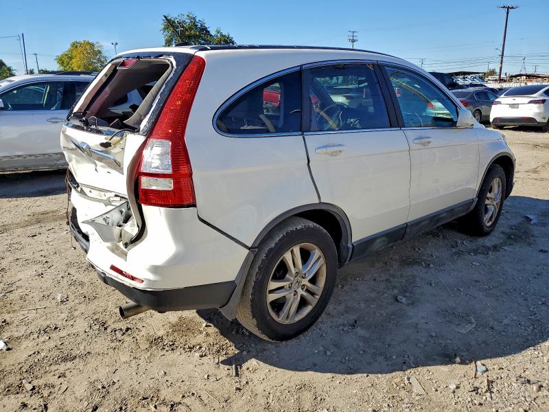 2010 HONDA CR-V EXL #3303864703