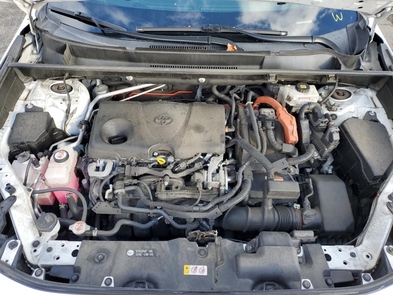 Lot #3302761344 2021 TOYOTA RAV4 XLE