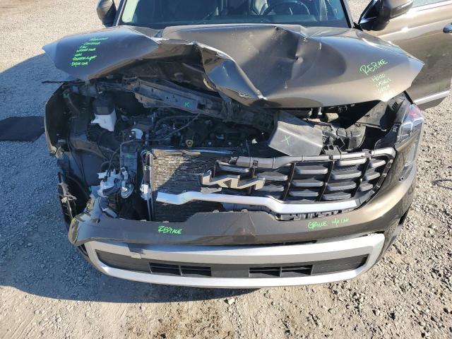 2024 KIA TELLURIDE #3298143299