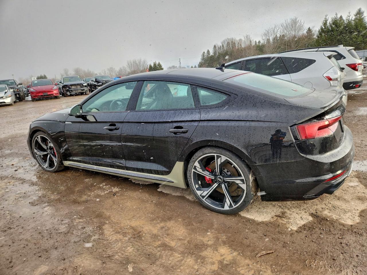 AUDI S5 RS5