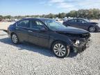Lot #3301649636 2013 HONDA ACCORD EXL