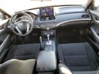 Lot #3301602688 2009 HONDA ACCORD EX