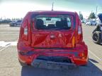Lot #3309248630 2013 KIA SOUL +