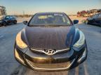 Lot #3297914782 2016 HYUNDAI ELANTRA SE