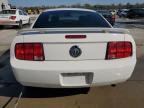 Lot #3294520499 2006 FORD MUSTANG