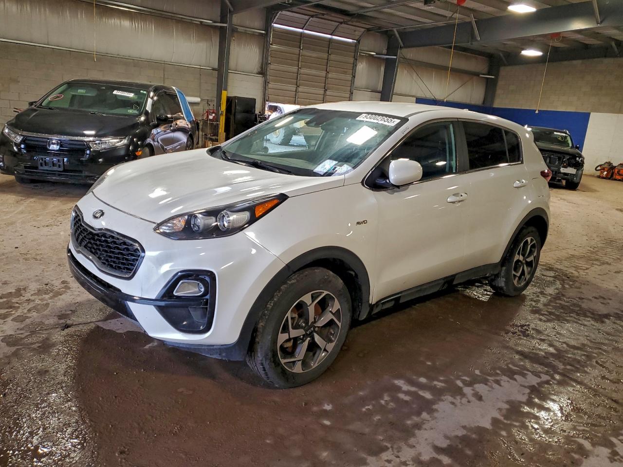 Lot #3302736009 2022 KIA SPORTAGE L