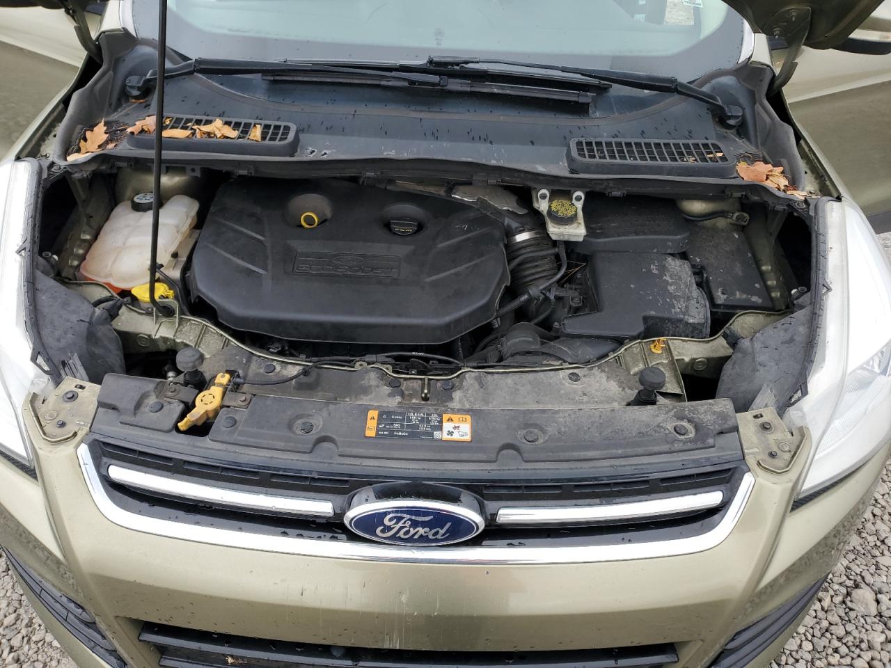 Lot #3302649063 2013 FORD ESCAPE SEL