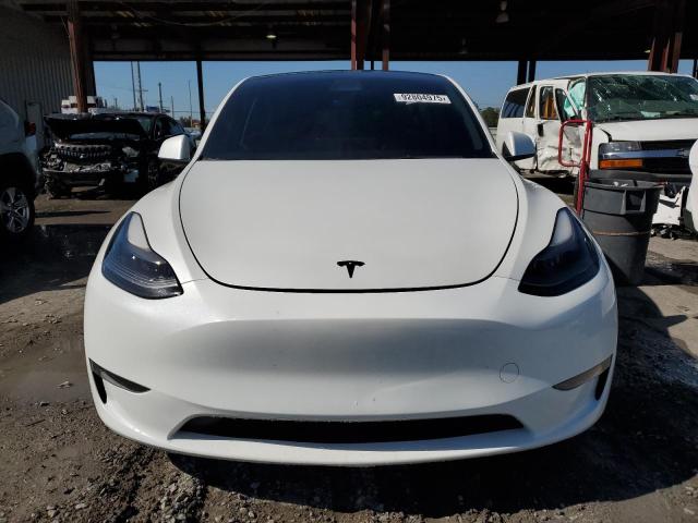 2023 TESLA MODEL Y #3297057494