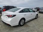 Lot #3297956827 2017 HYUNDAI SONATA HYB