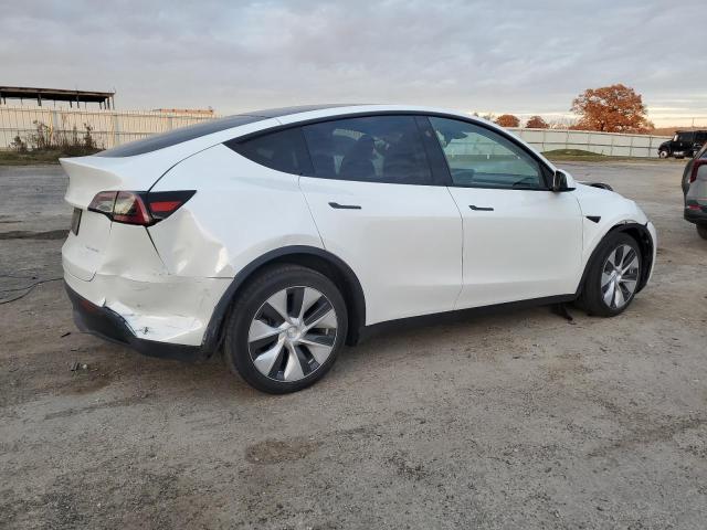 2023 TESLA MODEL Y #3308491345